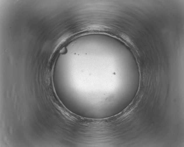 X0000061151067200512022308