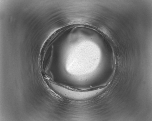 X0000061151068200512022308