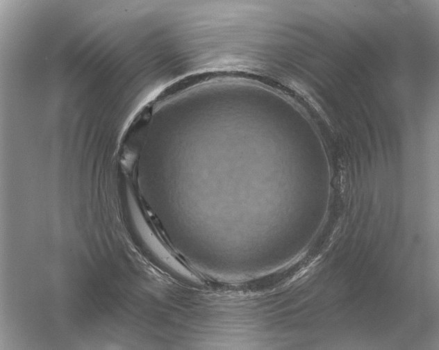 X0000061151069200512022308