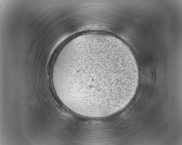 X0000061151070200512022308