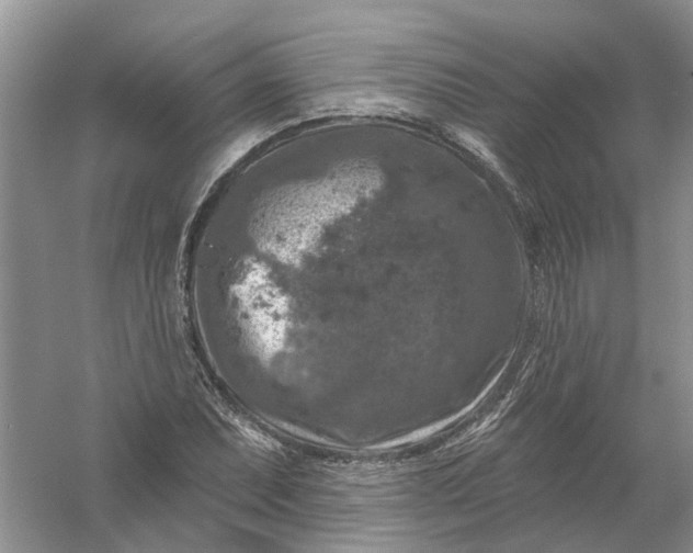 X0000061151071200512022308