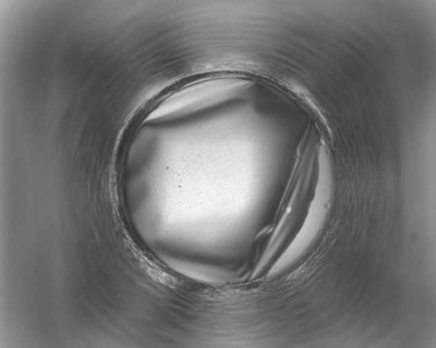 X0000061151072200512022308