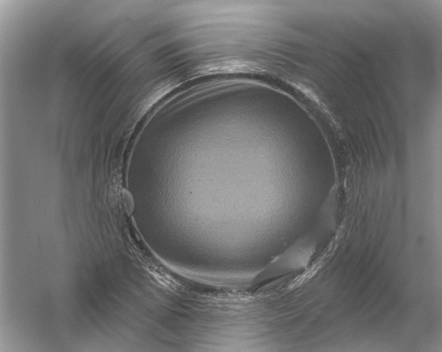 X0000061151073200512022308