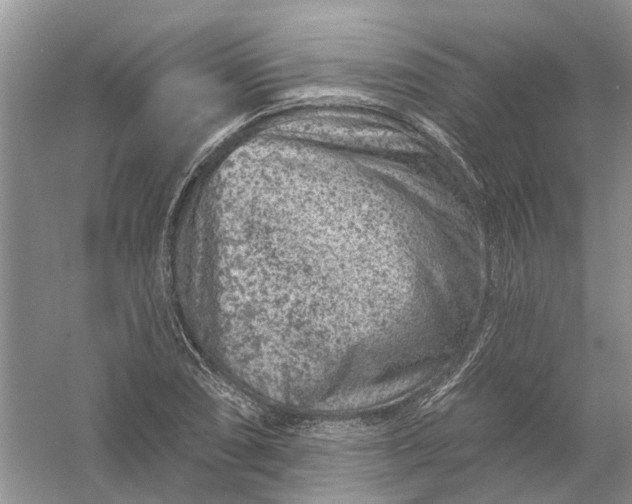 X0000061151074200512022308