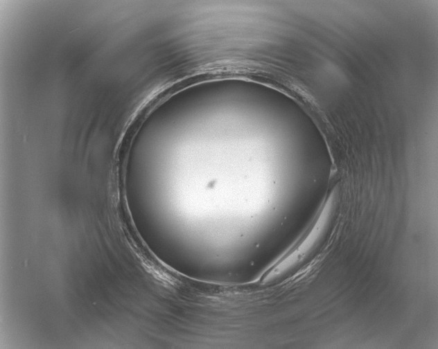 X0000061151075200512022308