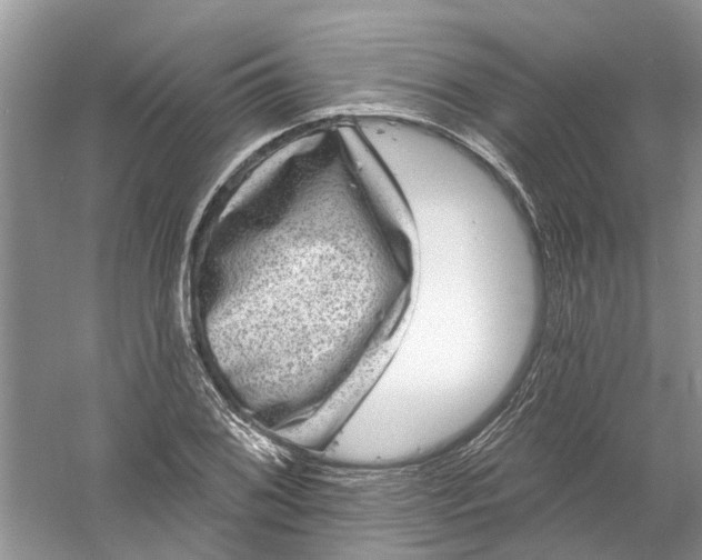 X0000061151076200512022308