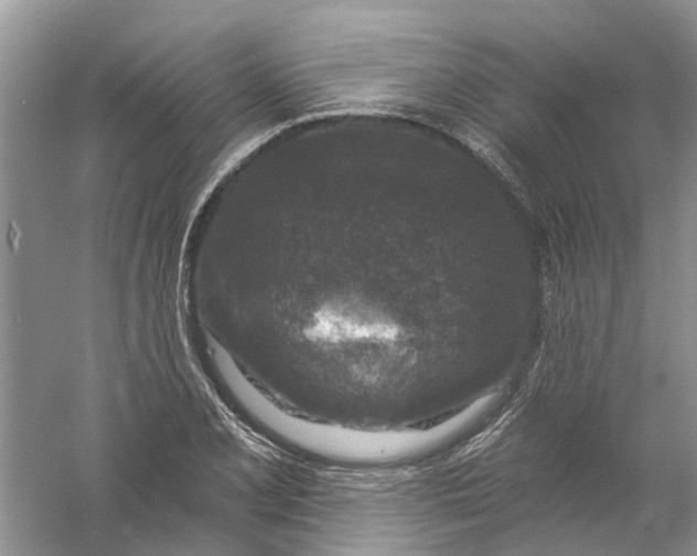 X0000061151077200512022308