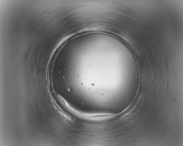 X0000061151078200512022308