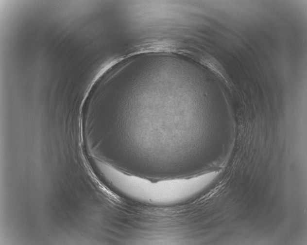 X0000061151079200512022308