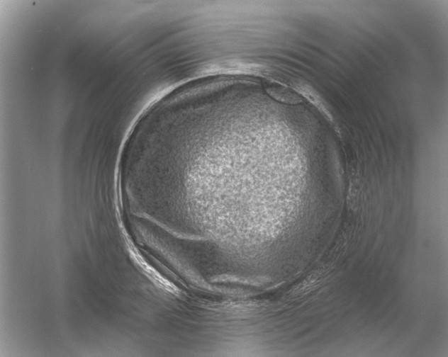 X0000061151080200512022308