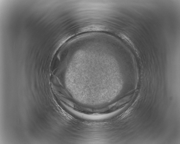 X0000061151081200512022308