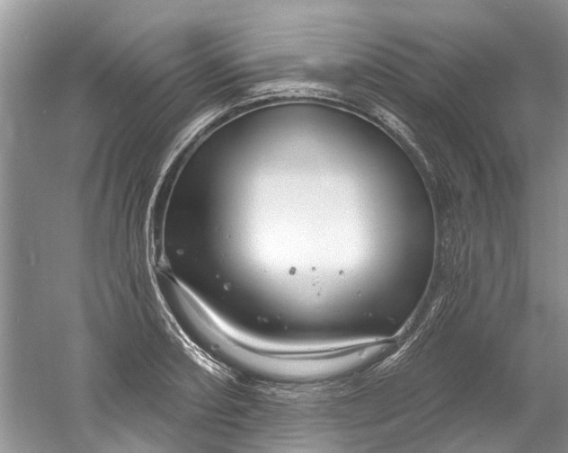 X0000061151082200512022308