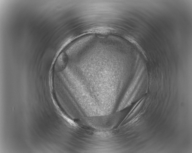 X0000061151083200512022308