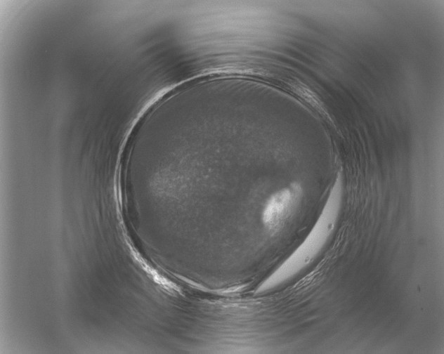 X0000061151084200512022308