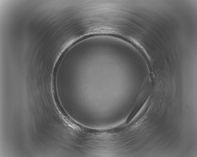 X0000061151085200512022308