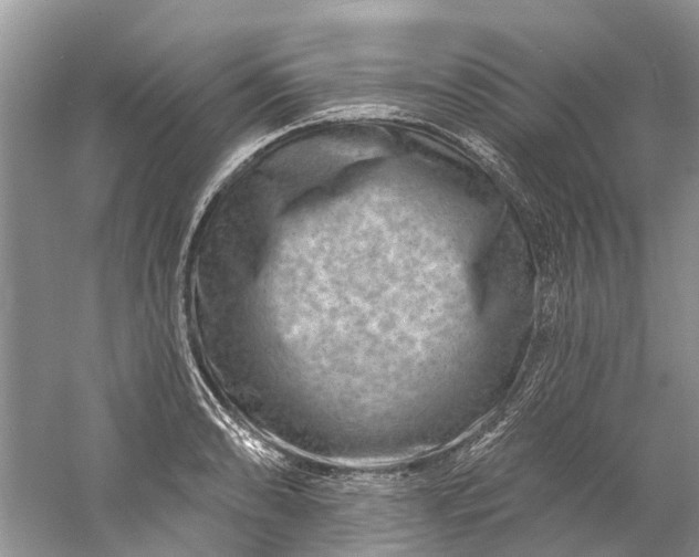 X0000061151086200512022308