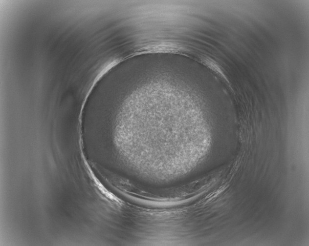 X0000061151087200512022308