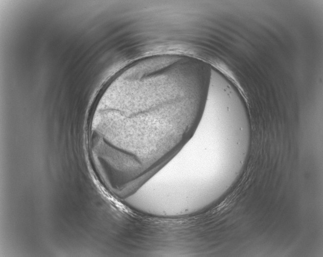 X0000061151088200512022308