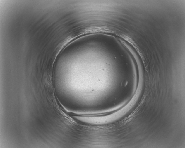 X0000061151089200512022308