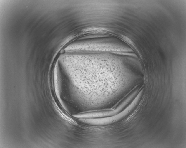 X0000061151090200512022308