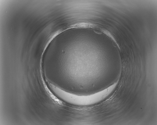 X0000061151091200512022308