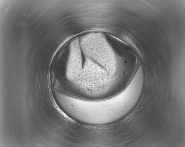 X0000061151092200512022308