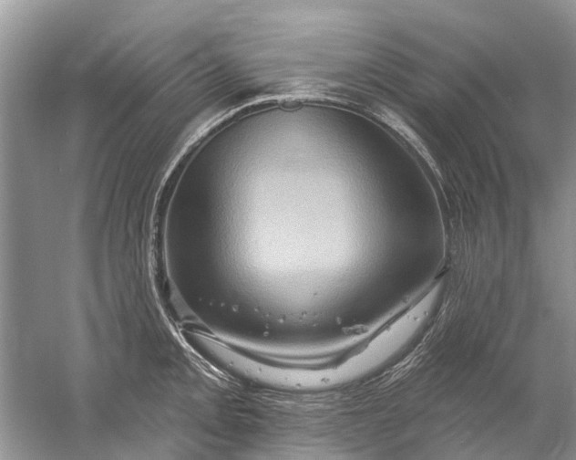 X0000061151093200512022308