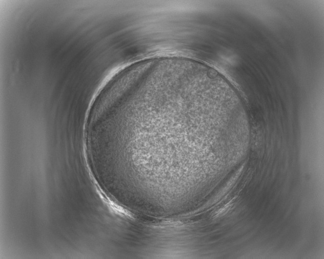 X0000061151094200512022308