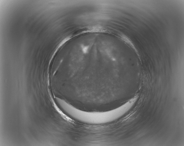 X0000061151095200512022308