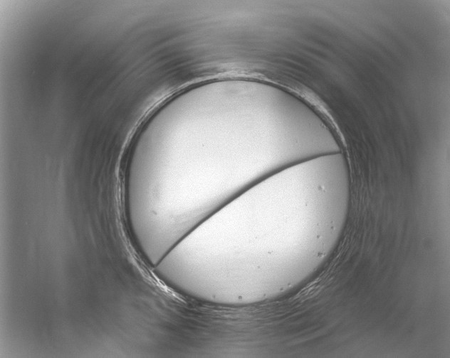 X0000061151096200512022308