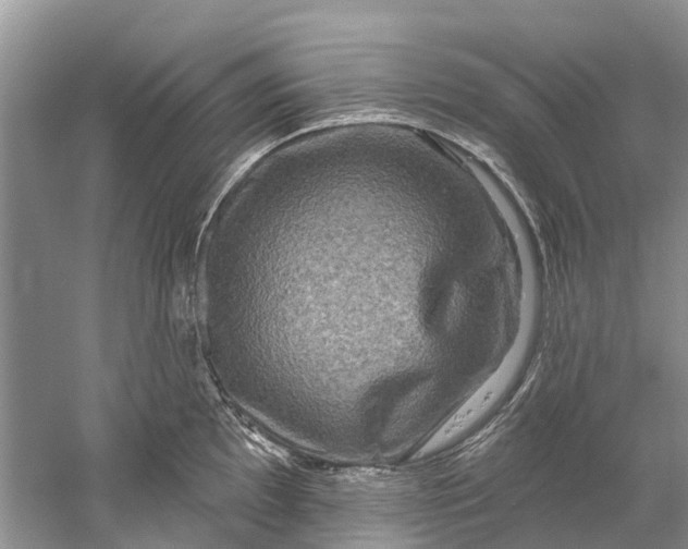 X0000061151097200512022308