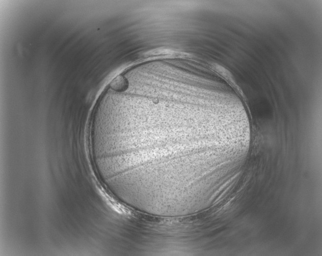 X0000061151098200512022308