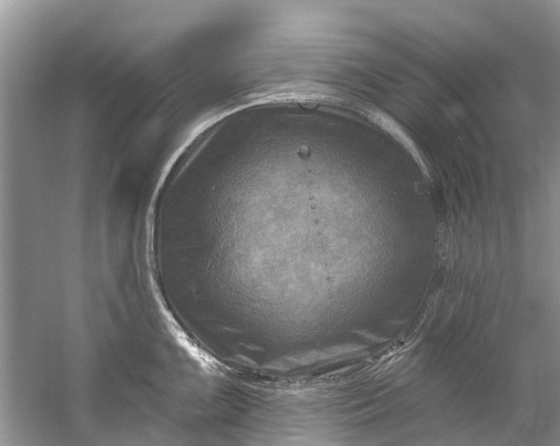 X0000061151099200512022308