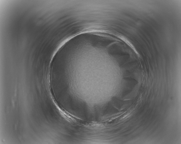 X0000061151101200512022307