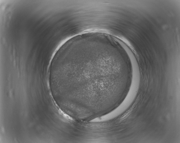 X0000061151102200512022307