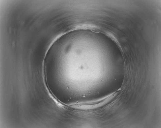 X0000061151103200512022307