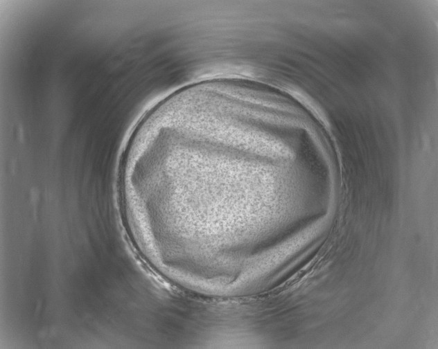 X0000061151104200512022307