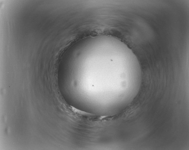 X0000061151105200512022307