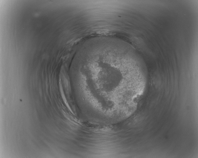 X0000061151106200512022307