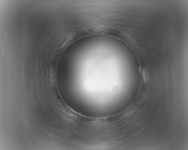 X0000061151107200512022307