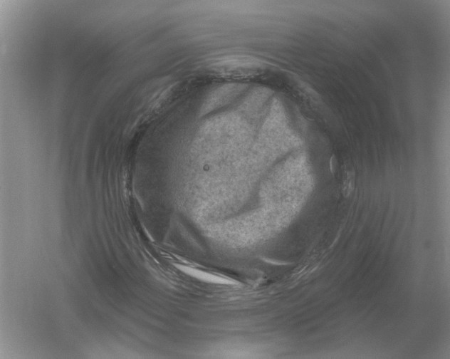 X0000061151108200512022307