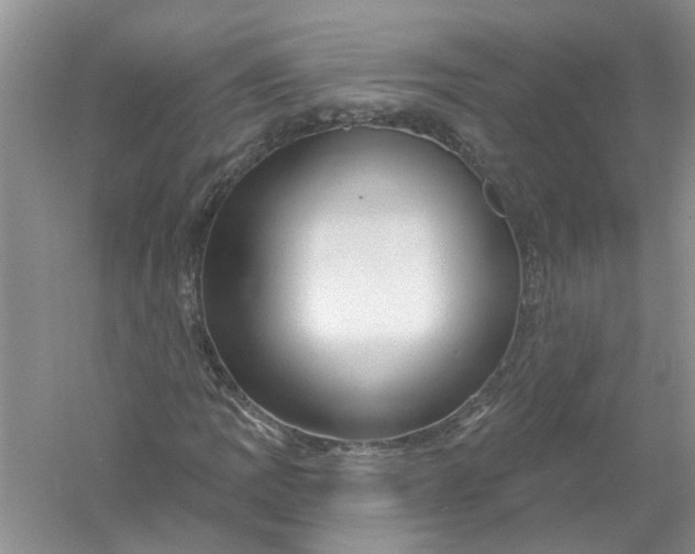 X0000061151109200512022307