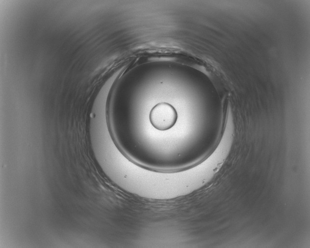 X0000061151110200512022307