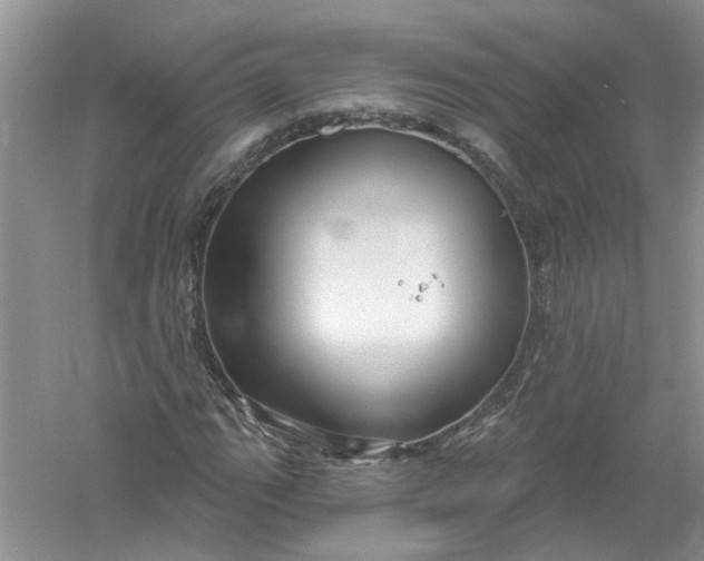 X0000061151111200512022307