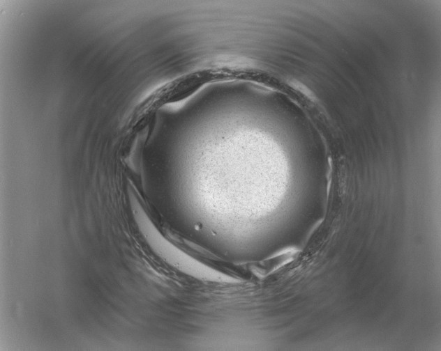 X0000061151112200512022307