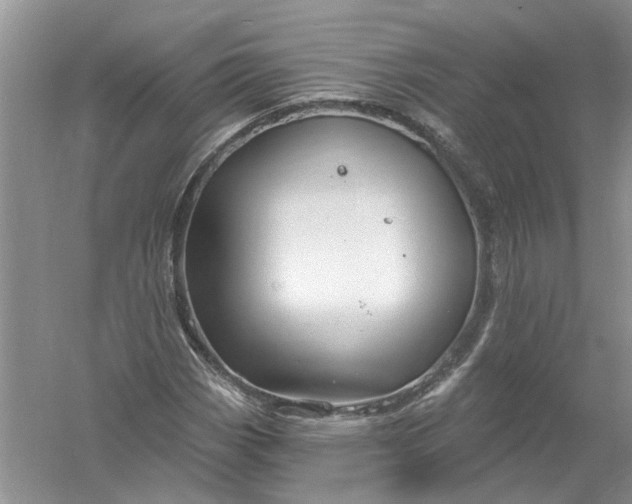 X0000061151113200512022307