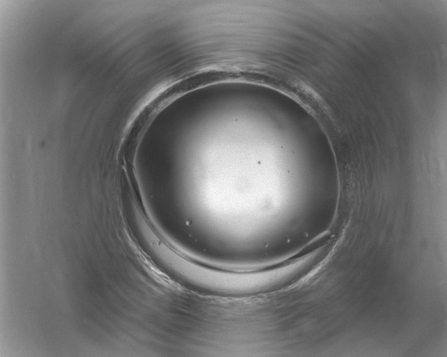 X0000061151114200512022307