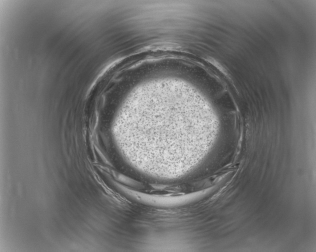 X0000061151115200512022307