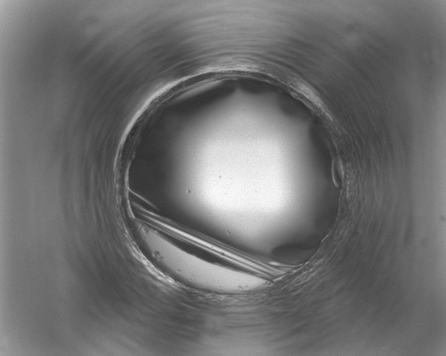 X0000061151116200512022307