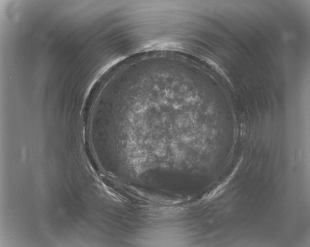 X0000061151117200512022307